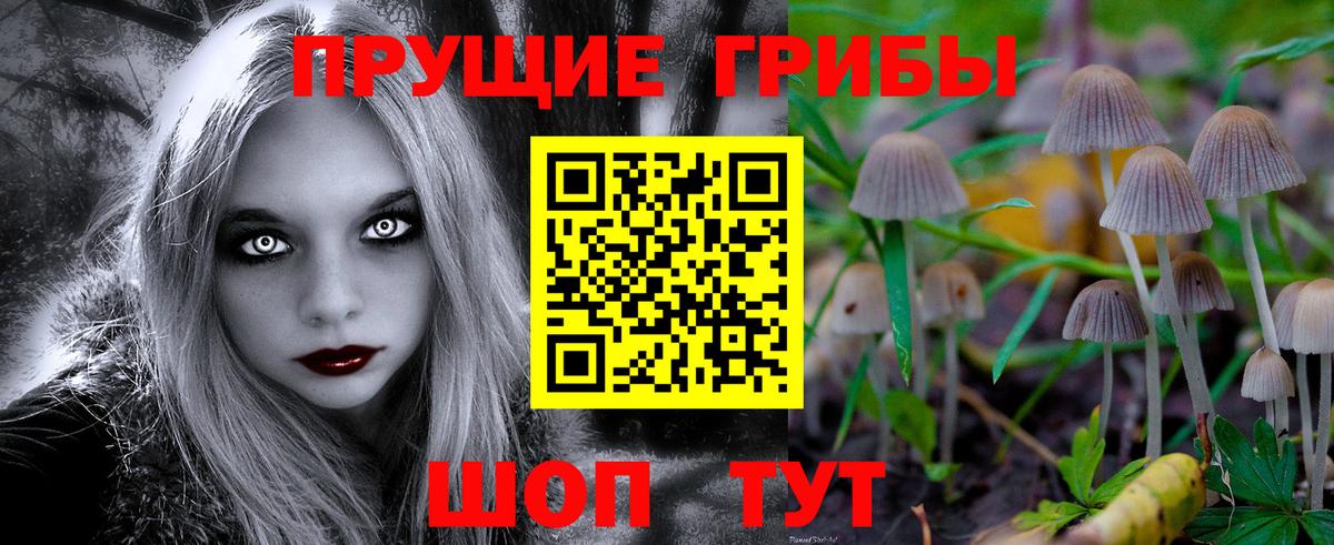 Галлюциногенные грибы прущие грибы Минусинск