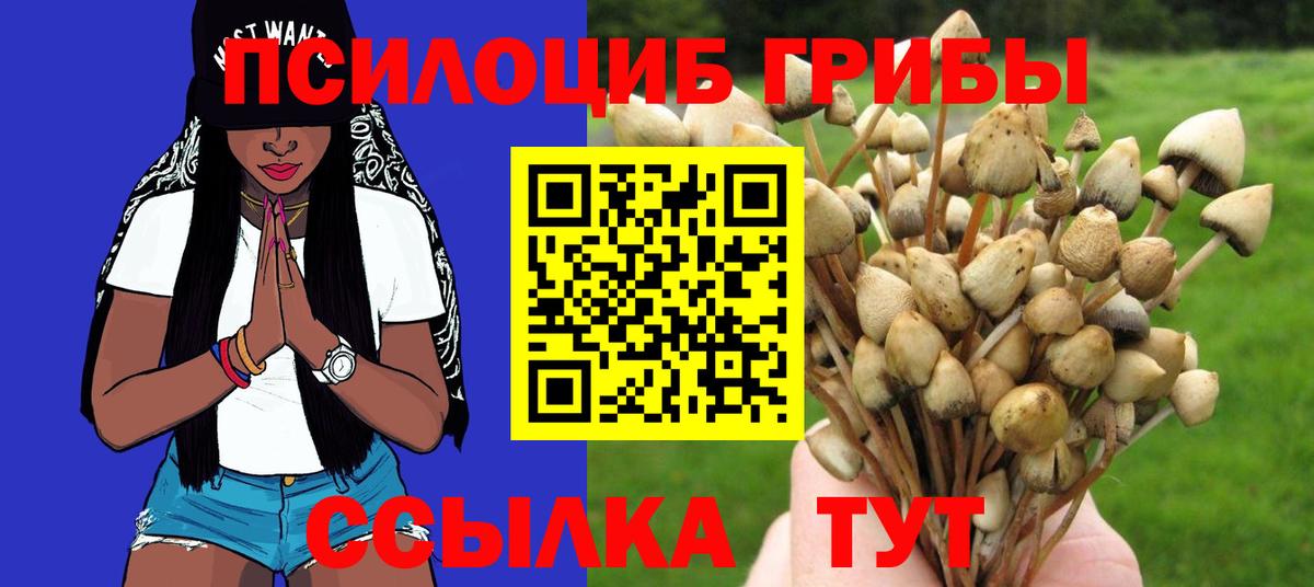 Псилоцибиновые грибы Psilocybine cubensis  Вход с VPN  Минусинск 
